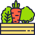 organic food icon