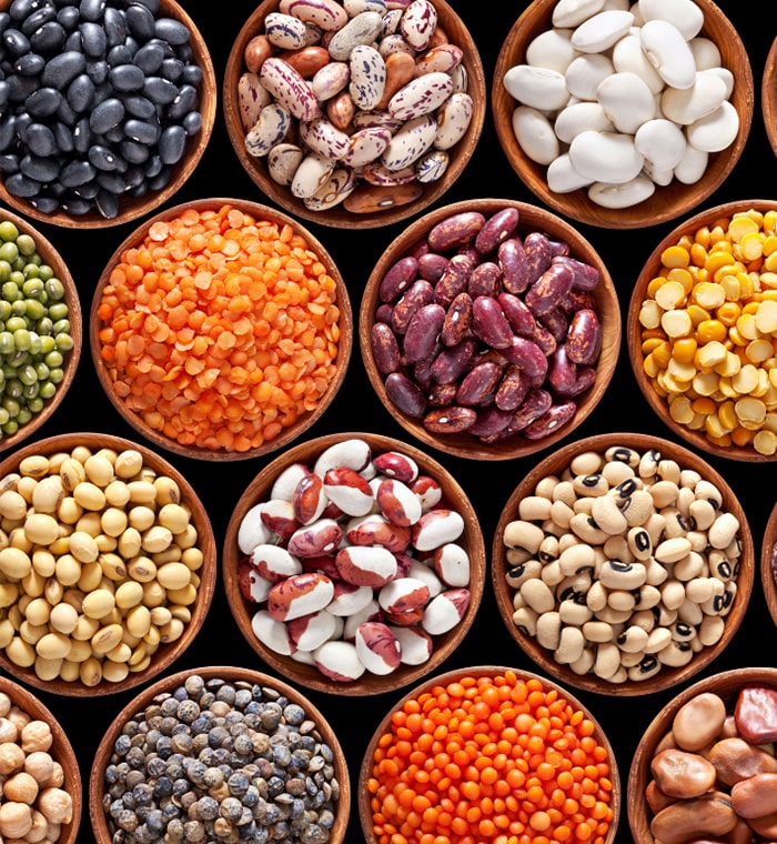 Premium quality chickpeas for global trade