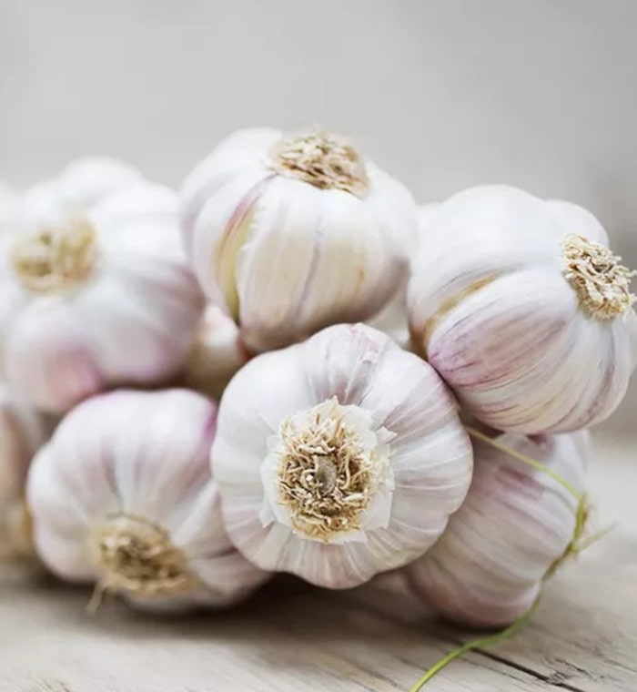 Premium quality garlic for international trade