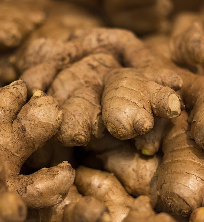 Premium quality ginger for international trade