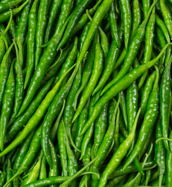Premium Organic Green Chillies for International Trade