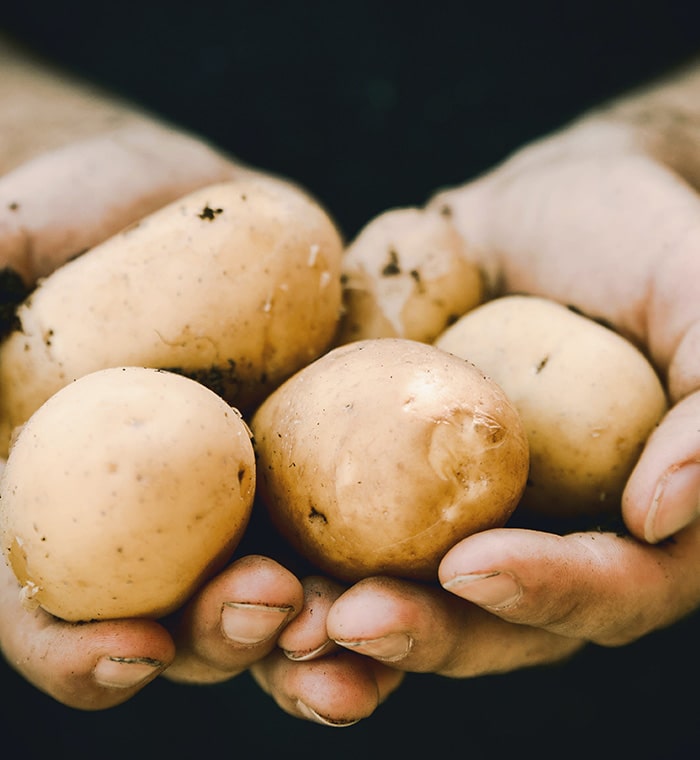 High-Quality Potatoes