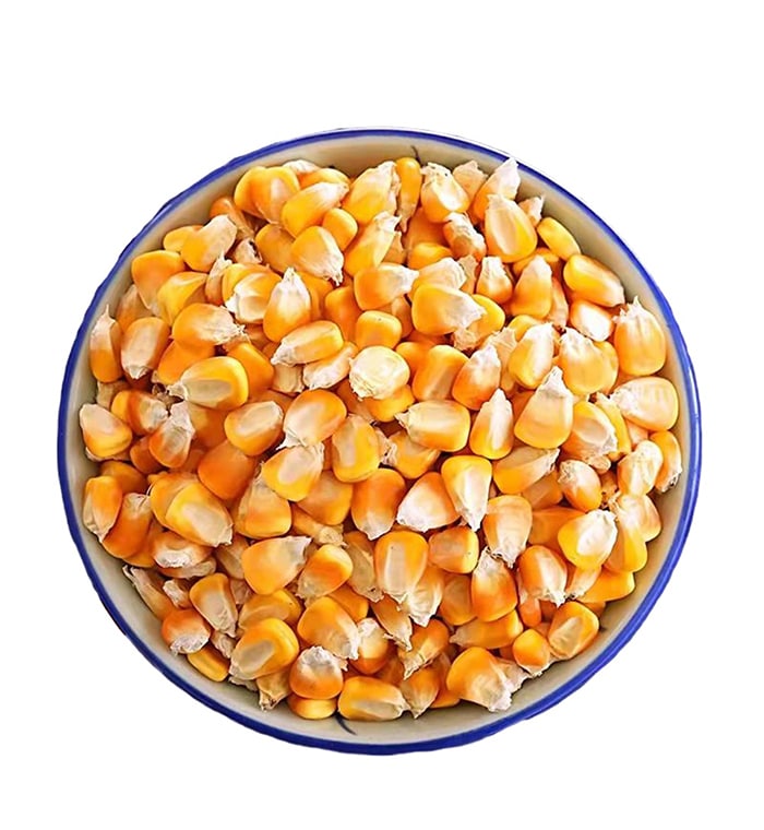 Maize, grains